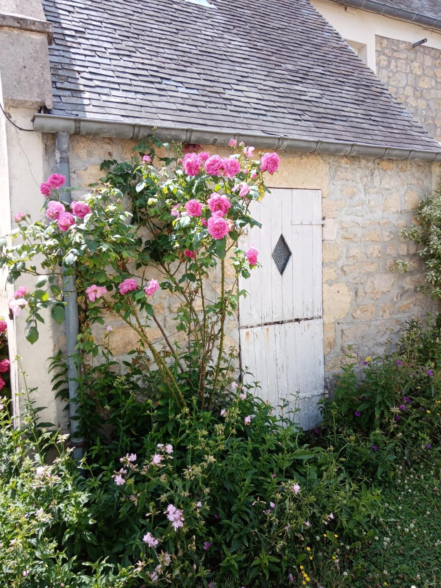 Rose Garden Bayeux Acomodação com café da manhã Exterior foto