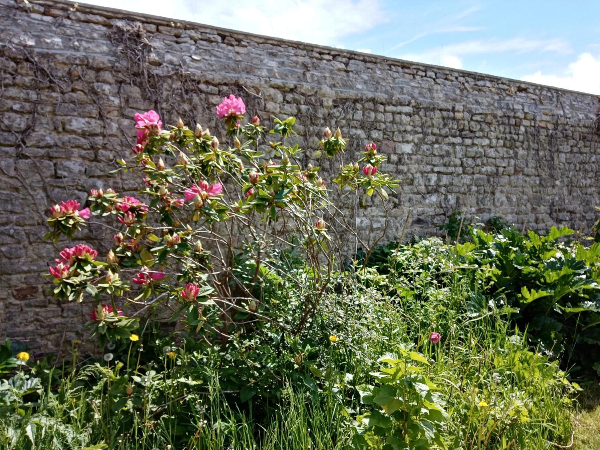 Rose Garden Bayeux Acomodação com café da manhã Exterior foto