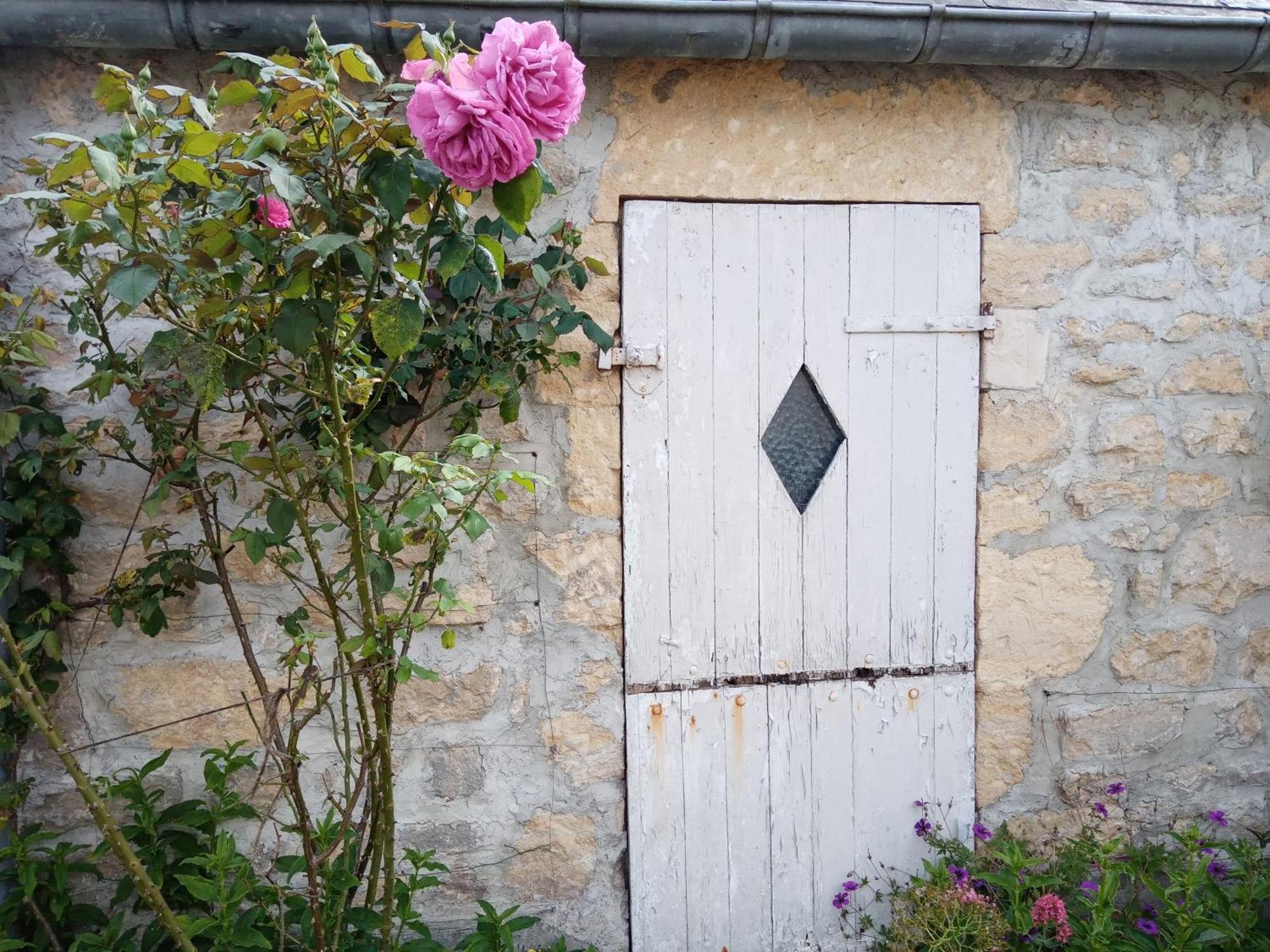 Rose Garden Bayeux Acomodação com café da manhã Exterior foto